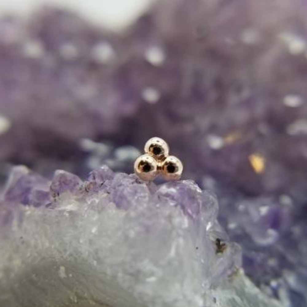 BVLA Gold Studs